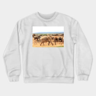 African Wildlife Photography Elephant Cameo Crewneck Sweatshirt